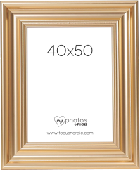 Focus Charleston Gold 40x50