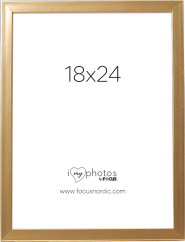 Focus Pop Gold 18x24
