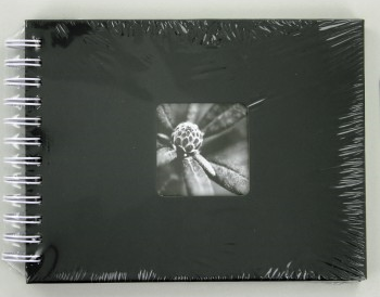 FINE ART 24x17 cm, Foto 10x15 cm/50 Stück, 50 Seiten, Weiße Blätter (Grau)