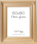 Focus Charleston Gold 60x80