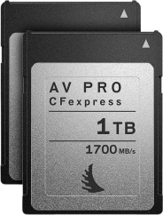 Angelbird CFexpress AV PRO (Match Pack Canon EOS C300 MK3 | C500 MK2) (R1700) 1TB | 2 PACK