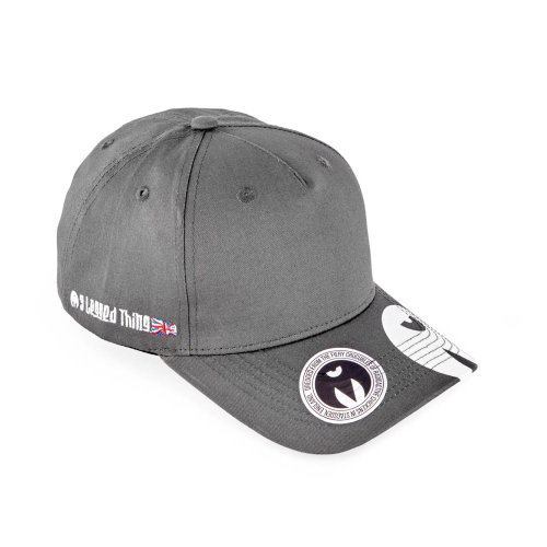 3 Legged Thing Baseball Cap, Grau