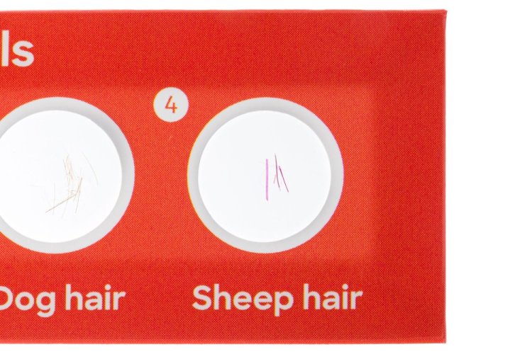 Discovery Fauna 12 hotových preparátů