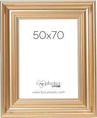 Focus Charleston Gold 50x70