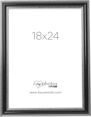 Focus Tango Black 18x24