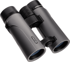 Focus Observer 8x42 ED