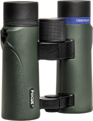 Focus Observer 10x34 HD