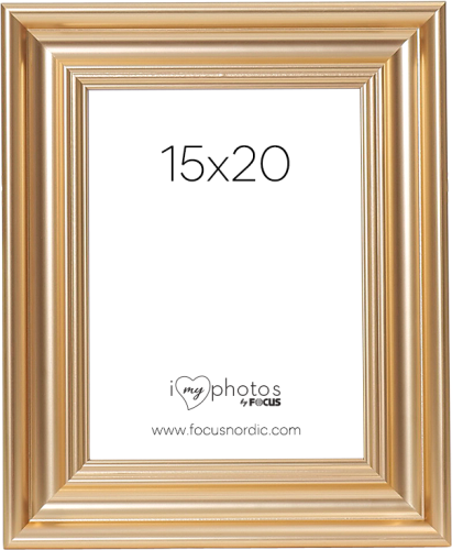 Focus Charleston Gold 15x20