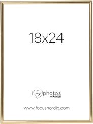 Focus Can-Can Shiny Gold 18x24