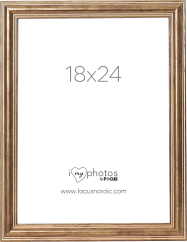 Focus Tango Wood Bronze 18x24