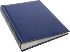 Focus Exclusive Line 300 10x15 Blue