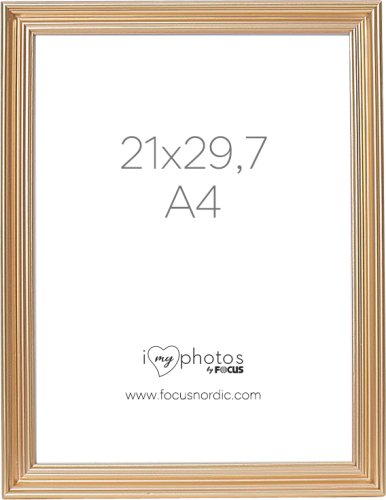 Focus Verona Gold 21x29,7 (A4)