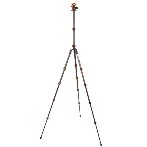 3 Legged Thing PUNKS Brian 2.0, fekete állvány