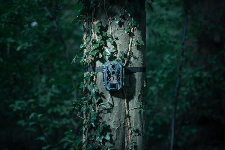 Fotopast Camouflage EZ2 Elite Dual Lens