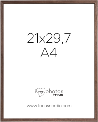 Focus Rock Walnut veneer 21X29,7 (A4)