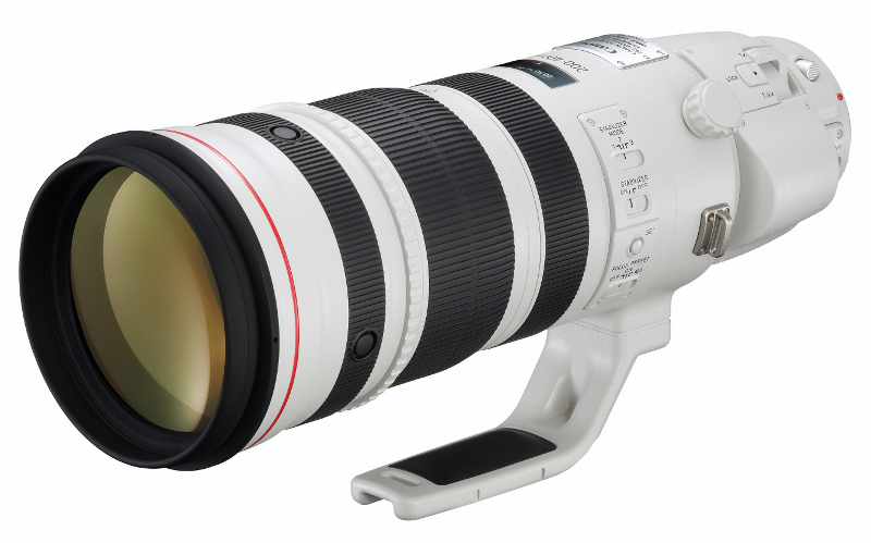 Canon EF 200-400mm f/4L IS USM 1.4x Extender Lens