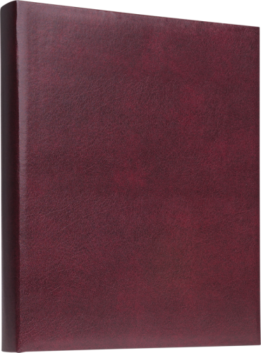 Focus Exclusive Line Ringbinder Red