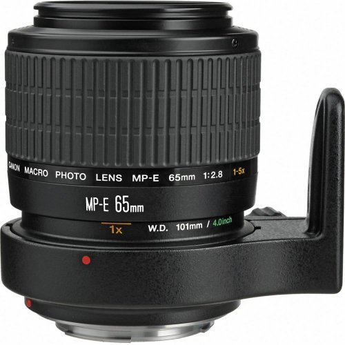 Canon MP-E 65mm f/2,8 1-5x MACRO