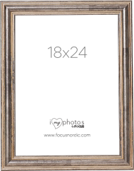 Focus Tango Wood Steel 18x24