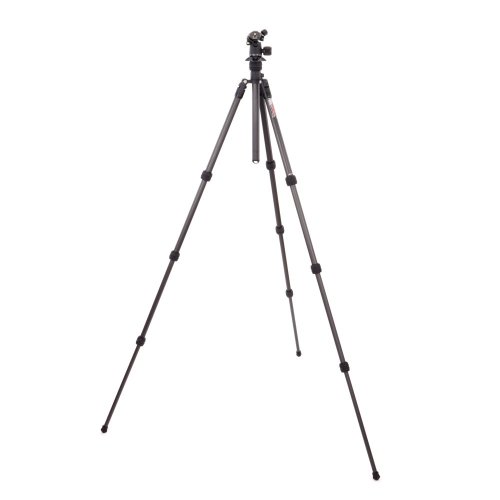 3 Legged Thing Punks Billy 2.0 DARKNESS állvány