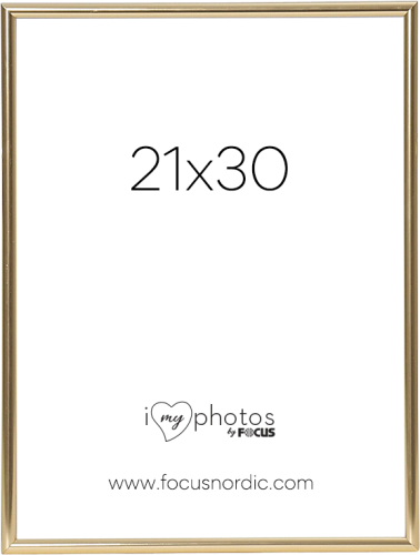 Focus Can-Can Shiny Gold 21x30