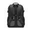 Lowepro Truckee BP 250 (Black)
