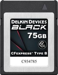 Delkin CFexpress BLACK R1725/W1240 75GB Type B
