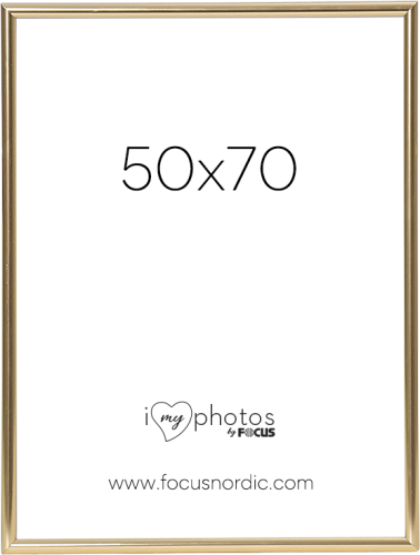 Focus Can-Can Shiny Gold 50x70
