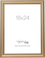 Focus Tango Classic Gold 18x24