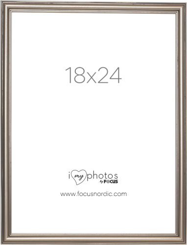 Focus Tango Silver 18x24