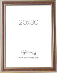 Focus Tango Light Root 20x30