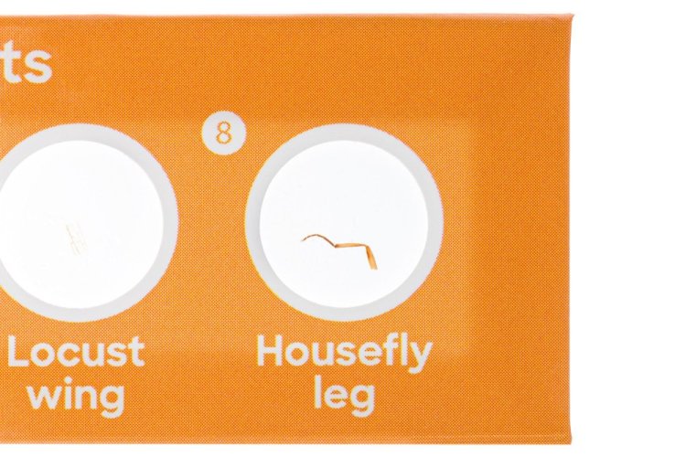 Discovery Fauna 12 hotových preparátů