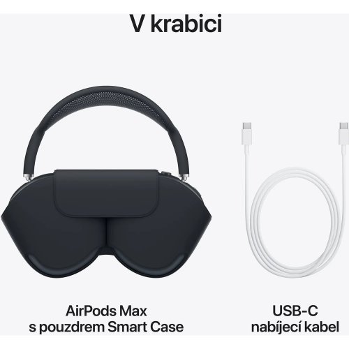 Apple AirPods Max Kopfhörer - Dunkle Tinte (2024)