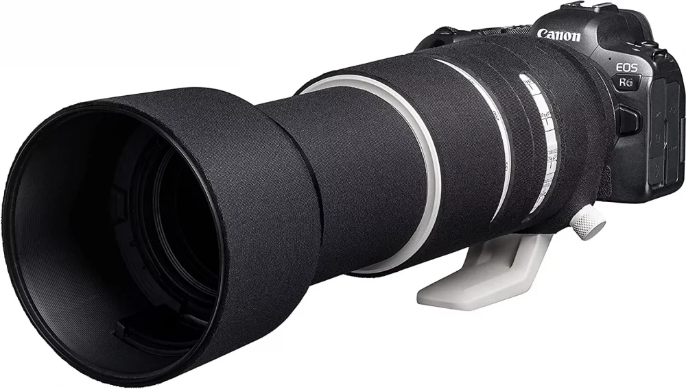 Canon EOS R6 Mark II + RF 100-500mm f/4.5-7.1 L IS USM