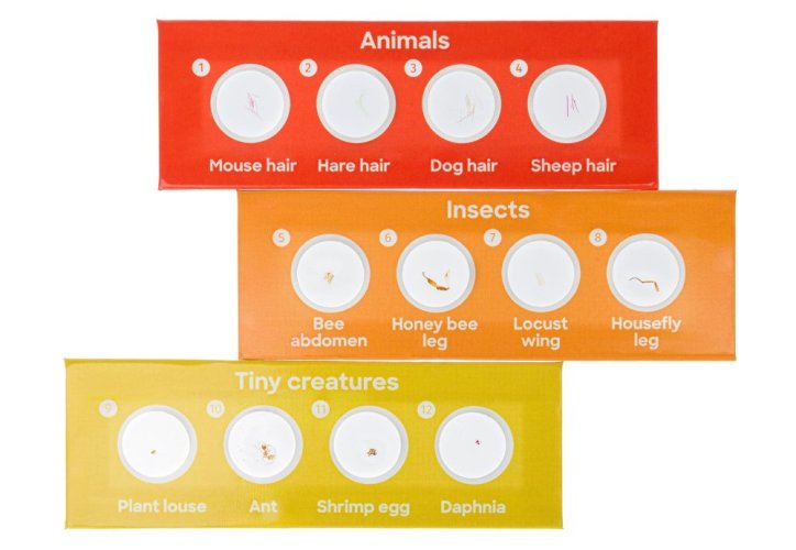 Discovery Fauna 12 hotových preparátů