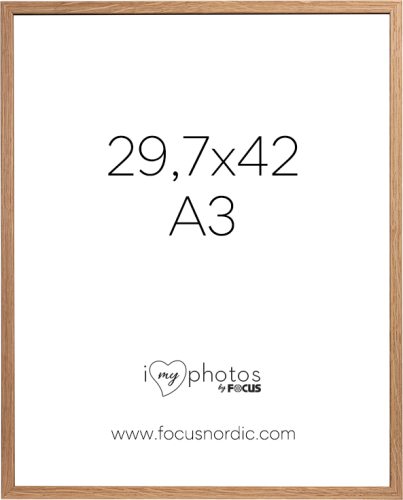 Focus Rock Oak veneer 29,7X42 (A3)