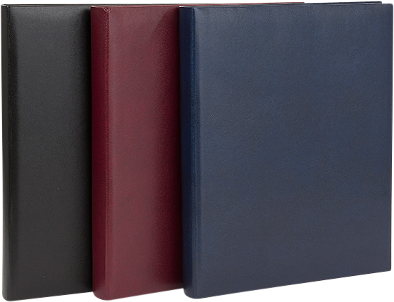 Focus Exclusive Line Ringbinder Black