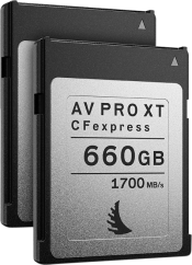 Angelbird CFexpress AV PRO XT (Match Pack Canon EOS C300 MK3 | C500 MK2) (R1700) 660GB | 2 PACK