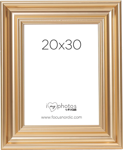 Focus Charleston Gold 20x30