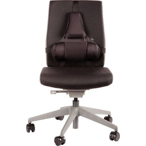 Profesionální opěrka zad Fellowes, černá