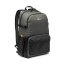 Lowepro Truckee BP 250 (Black)