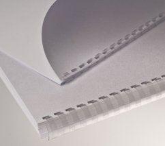 Eurosupplies Kunststoff-Bindesporn A4 Durchmesser 12,5 mm klar 100 Stück