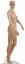 forDSLR Figurína dámska, svetlá farba kože, výška 175cm