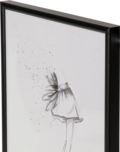 Focus Can-Can Aluminium Black 50x60