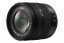 Panasonic Lumix G Vario 14-45mm f/3.5-5.6 ASPH. MEGA O.I.S. (H-FS014045E) Lens