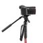 Manfrotto Element MII video monopod s fluidní hlavou | maximální výška 138 cm | nosnost 4 kg | otočný zámek | hmotnost 1,05 kg | destička 501PL