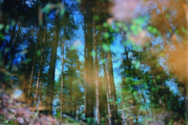 Holga HL-C 8,0/60 mm pro Canon EOS