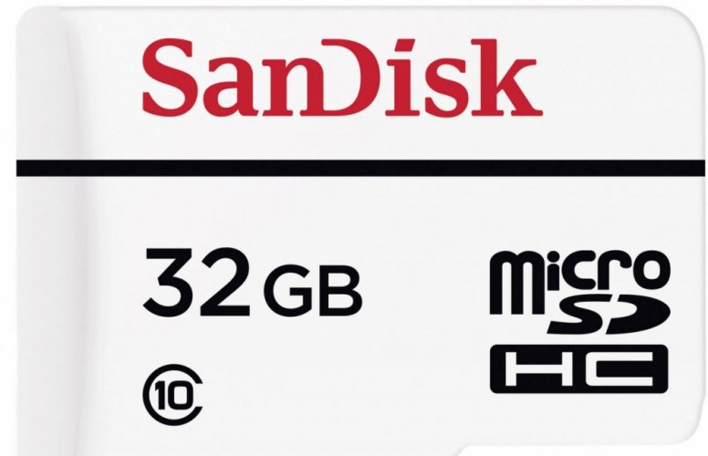 SanDisk Secure Digital Micro SDHC 32GB High Endurance Video 20 MB/s Class 10