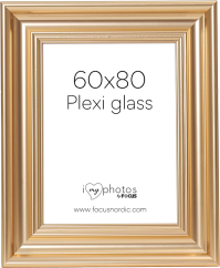 Focus Charleston Gold 60x80