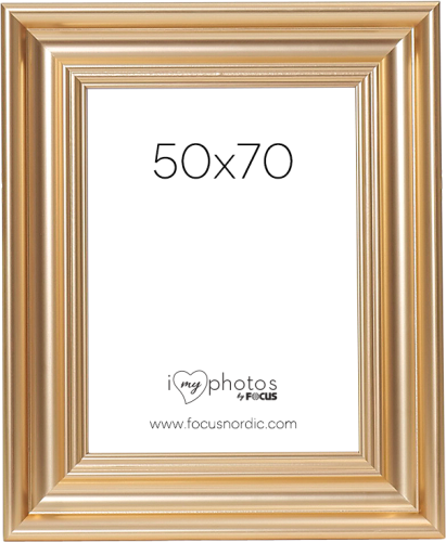 Focus Charleston Gold 50x70